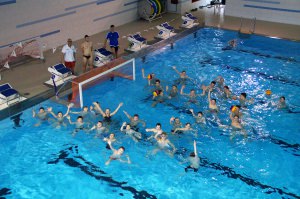 Sachsen-Anhalts Wasserballer spielen am Wochenende in Magdeburg um die Landespokale
